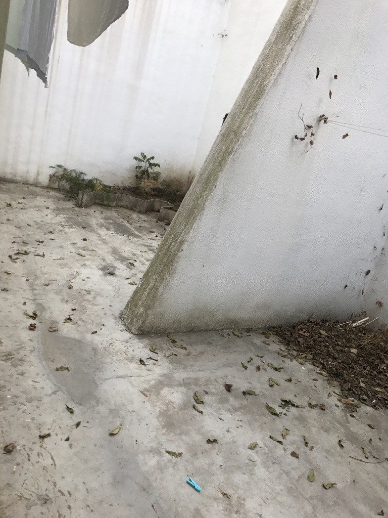 Terraço antes — pátio em betão com paredes brancas, folhas secas e mola azul no chão, Cabo Verde